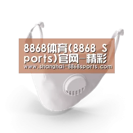 N95 口罩
