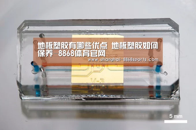 8868体育官网入口