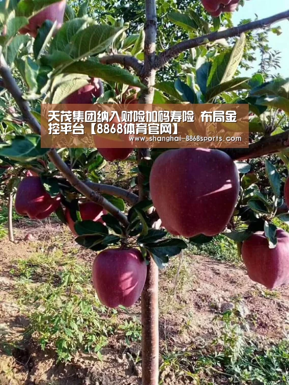 8868体育官网入口