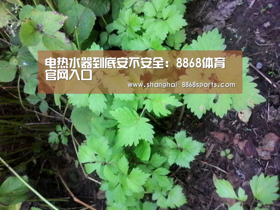 电热水器到底安不安全:8868体育官网入口(图2) 8868体育官网